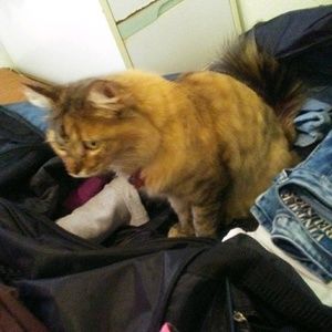 Meet your Posher, Kelly